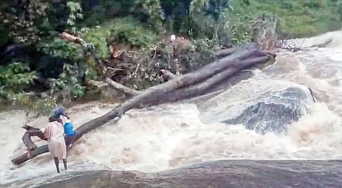 கொடைக்கானல் மலைப்பகுதி மூங்கில்காடு கிராமத்துக்கு ஆபத்தான முறையில் ஆற்றை கடந்து செல்லும் பழங்குடியினர்.