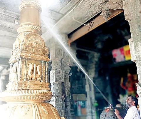 திருவண்ணாமலை அண்ணாமலையார் கோயிலில் உள்ள தங்க கொடிமரத்தை தூய்மைப்படுத்திய ஊழியர்.