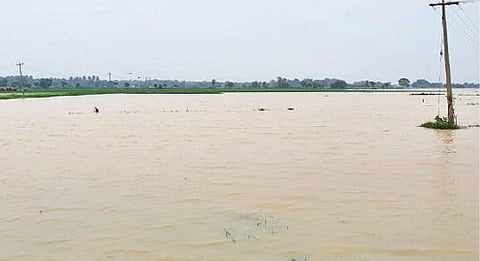 காட்டுமன்னார்கோவில் அருகே உள்ள வீரானந்தபுரத்தில் சம்பா நடவு நட்ட விளைநிலம் மழை தண்ணீரீல் மூழ்கியுள்ளது.