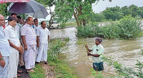 பரங்கிப்பேட்டை ஒன்றியம் பூவாலை கிராமத்தில் மழை நீரில் மூழ்கியுள்ள சம்பா நடவு செய்யப்பட்ட விளைநிலங்களை பாண்டியன் எம்எல்ஏ பார்வையிட்டு ஆய்வு செய்தார்.