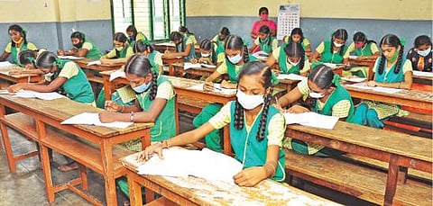 கிருஷ்ணகிரியில் நடந்த தேசிய அடைவு ஆய்வு தேர்வினை 8-ம், 10-ம் வகுப்பு மாணவிகள் எழுதினர்.