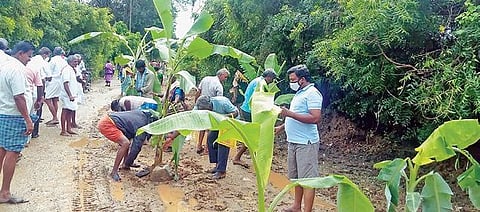 உமையஞ்செட்டிபாளையத்தில் பழுதான சாலையில் -  வாழைக்கன்று நடவு செய்து போராட்டம் :