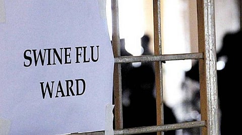 இரு பெண்களுக்கு தொற்று உறுதியான நிலையில் கோவையில் 13 பேருக்கு பன்றிக் காய்ச்சல் பரிசோதனை