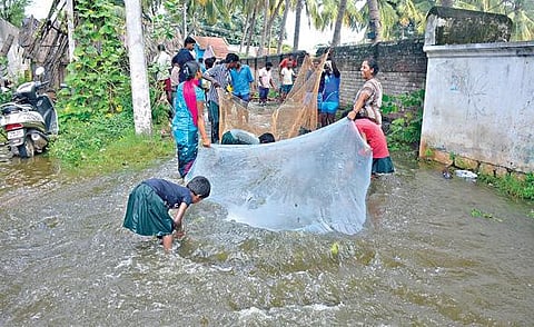 கிருஷ்ணகிரி தேவசமுத்திரம் ஏரியில் இருந்து வெளியேறிய தண்ணீர், முல்லை நகர் சாலையில் ஓடியது. தண்ணீரோடு வந்த மீன்களை பிடிக்கும் கிராம மக்கள்.படம்: எஸ்.கே.ரமேஷ்