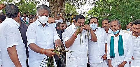 மயிலாடுதுறை மாவட்டம் சீர்காழியை அடுத்த எருக்கூரில் கனமழையால் பாதிக்கப்பட்ட நெற்பயிர்களை நேற்று பார்வையிட்டு, ஆய்வு செய்யும் அதிமுக இணை ஒருங்கிணைப்பாளர் பழனிசாமி, ஒருங்கிணைப்பாளர் ஓ.பன்னீர்செல்வம் ஆகியோர்.