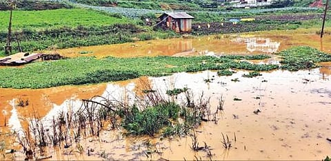 நீலகிரியில் தொடர் மழையால் காய்கறிகளின் விலை உயர்வு :