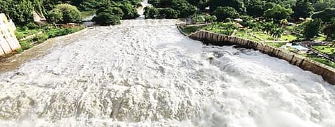 சாத்தனூர் அணையில் இருந்து வெளியேறும் தண்ணீர் தென்பெண்ணை  ஆற்றில் கரைபுரண்டோடுகிறது.