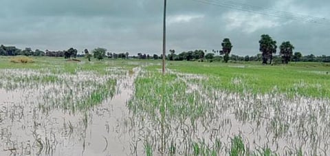 தமிழக வெள்ள பாதிப்புகளை பார்வையிட மத்தியக் குழு இன்று வருகை