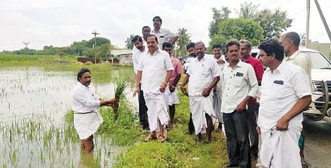 போளூர் அருகே கனமழையால் பாதிக்கப்பட்ட விவசாய நிலங்களை பார்வையிட்ட அதிமுக எம்எல்ஏ அக்ரி எஸ்.எஸ்.கிருஷ்ணமூர்த்தி.