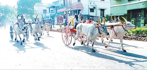 திருப்பத்தூரில் நடந்த மாட்டு வண்டி பந்தயம்.