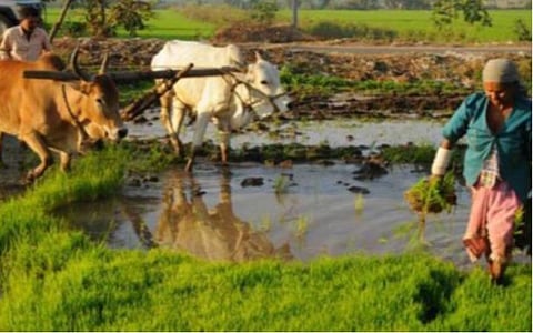 மழை நிவாரண அறிவிப்பு: விவசாயிகளின் அதிருப்தி கவனத்தில் கொள்ளப்படுமா?