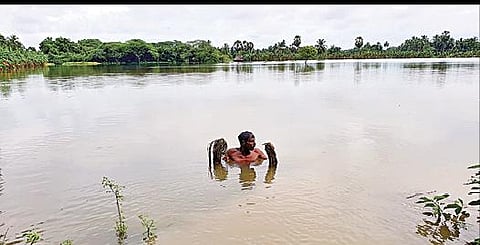 கடலூர் மாவட்டம் குமராட்சி அருகே அத்திப்பட்டு கிராமத்தில் சம்பா நடவு நட்ட நெற்பயிரை முழ்கடித்து, வெள்ள நீர் தேங்கி நிற்கிறது.
