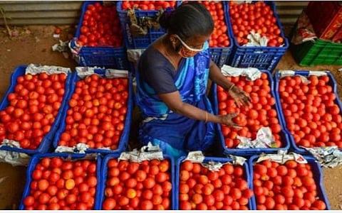 கோயம்பேட்டில் தக்காளி லோடுகளை இறக்கி, ஏற்ற ஒரு ஏக்கர் இடத்தை ஒதுக்க நீதிபதி உத்தரவு: அனைத்து வியாபாரிகளையும் அனுமதிக்க பரிந்துரை