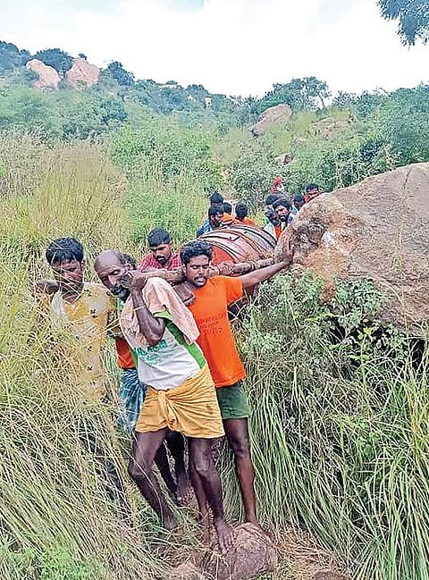 திருவண்ணாமலையில் 2,668 அடி உயரமுள்ள அண்ணாமலை உச்சியில் இருந்து எடுத்து வரப்பட்ட மகா தீப கொப்பரை.