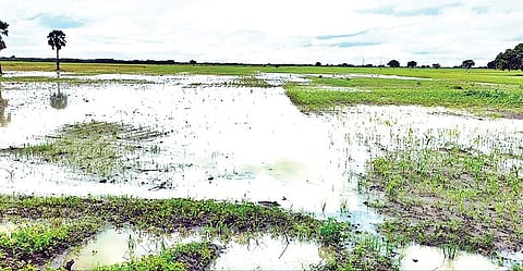 தூத்துக்குடி மாநகரில் பாதாள சாக்கடைப்பணிகள் முழுமையாக முடிவடையவில்லை. பாதியளவு பணி நிறைவுற்ற டூவிபுரம் பகுதியில் பாதாள சாக்கடை நிரம்பி சாலையில் கழிவுநீர் வெளியேறுகிறது. பல இடங்களில் மூடிகள் திறந்து கிடக்கின்றன.              படம்: என்.ராஜேஷ்.