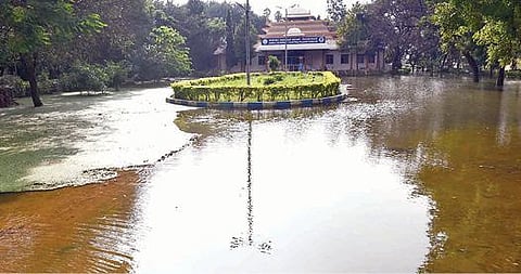 திருச்சி அண்ணா கோளரங்கத்தில் குளம் போல தேங்கியுள்ள மழைநீர். படம்: ஜி.ஞானவேல்முருகன்