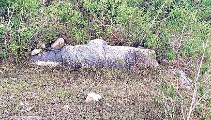 ஜவ்வாதுமலையில் கண்டெடுக்கப்பட்ட பெருங்கற்கால புதைவிடங்கள்.