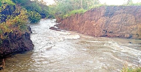 புதூர் அருகே நம்பிபுரம் கண்மாய்க்கு வரும் வரத்து ஓடையில் கீழ்நாட்டுக்குறிச்சி பகுதியில் ஏற்பட்ட உடைப்பால் தண்ணீர் வீணாக வெளியேறி வைப்பாற்றுக்கு பாய்கிறது.