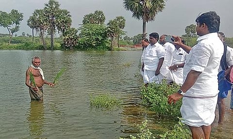 கள்ளர்குளத்தில் வெள்ளநீர் மூழ்கிய நெற்பயிரை சிவகங்கை எம்எல்ஏ செந்தில்நாதனிடம் காட்டிய விவசாயி.