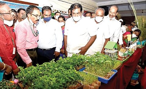 மதுரை விவசாயக் கல்லூரி மற்றும் ஆராய்ச்சி நிலையத்தில் இயற்கை விவசாயம் தொடர்பான கண்காட்சியை பார்வையிடுகிறார் அமைச்சர் பி.மூர்த்தி.