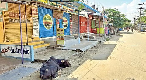 பாபர் மசூதி இடிப்பை கண்டித்து மேலப்பாளையத்தில் கடைகள் அடைக்கப்பட்டிருந்தன. 		      படம்: மு.லெட்சுமி அருண்