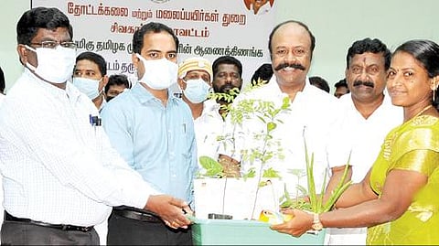 காரைக்குடியில் தோட்டக்கலைத்துறை சார்பில் நடந்த விழாவில் பயனாளிகளுக்கு மரக்கன்றுகளை வழங்கிய அமைச்சர் கே.ஆர்.பெரியகருப்பன்.