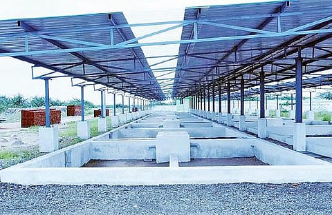 அருப்புக்கோட்டையில் திறக்கப்பட்டுள்ள உரக்கிடங்கு.