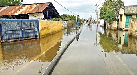 தூத்துக்குடி மச்சாடோ நகரில் 15 நாட்களுக்கு மேலாக  குடியிருப்புகளை சுற்றி தேங்கி நிற்கும் மழைநீர். 										              படம்: என்.ராஜேஷ்