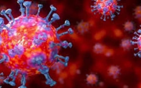 டிசம்பர் 11: தமிழக நிலவரம்; மாவட்ட வாரியாக கரோனா தொற்றுப் பட்டியல்