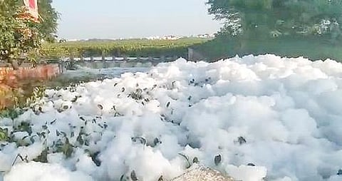 மதுரை அவனியாபுரம் வெள்ளக்கல் குப்பை கிடங்கில் இருந்து வெளியேறும் கழிவுநீர், மழை நீரோடு கால்வாயில் கலந்து நுரை நுரையாக கண்மாயில் கலக்கிறது. காற்றில் நுரை பறந்து சென்று வாகன ஓட்டுநர்கள் மீது விழுவதால் விபத்து ஏற்படும் சூழ்நிலை உள்ளது.