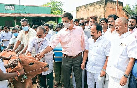 அணைக்கட்டு அடுத்த பொய்கை மோட்டூரில் கால்நடைகளுக்கான கோமாரி நோய் தடுப்பூசி முகாமை ஆட்சியர் குமாரவேல் பாண்டியன் நேற்று தொடங்கி வைத்தார். அருகில், அணைக்கட்டு எம்எல்ஏ ஏ.பி.நந்தகுமார், மாவட்ட  ஊராட்சி குழுத் தலைவர் பாபு உள்ளிட்டோர்.
