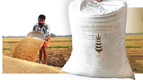 உரக் கொள்கை: தேவை மறுபரிசீலனை