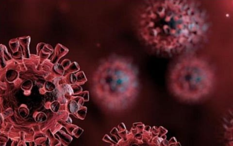 டிசம்பர் 21: தமிழக நிலவரம்; மாவட்ட வாரியாக கரோனா தொற்றுப் பட்டியல்