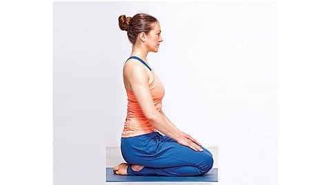 தினம் தினம் யோகா 24: வஜ்ராசனம்