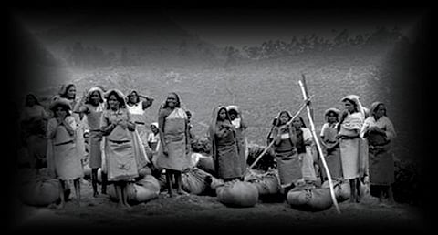 கேட்டிருப்பாய் காற்றே…