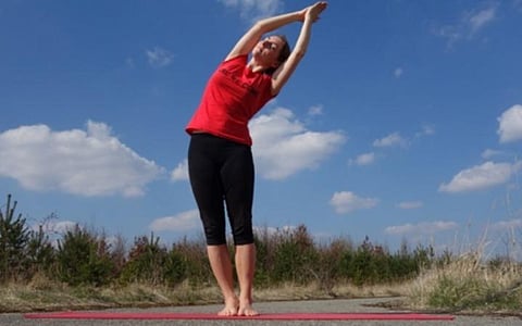 தினம் தினம் யோகா 32: திர்யக தாடாசனம்