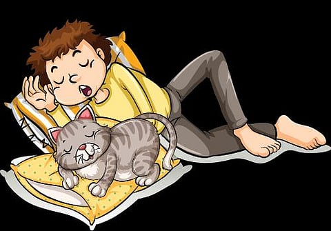 படமும் கதையும்: பூனையை எப்படி அழைக்கலாம்?