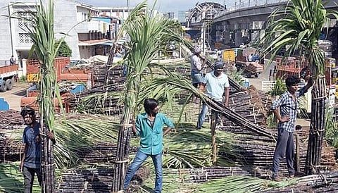 நுங்கம்பாக்கத்தில் விற்பனைக்காக வைக்கப்பட்டுள்ள மண் பானைகள்.படங்கள்: ம.பிரபு