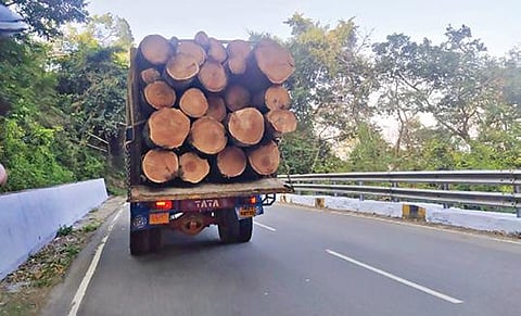 ஏற்காடு மலைப்பாதையில் அதிக பாரத்துடன் மரங்களை ஏற்றிச் செல்லும் லாரி.