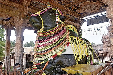 மாட்டுப் பொங்கலையொட்டி தஞ்சாவூர் பெரிய கோயிலில் மகா நந்திகேசுவரருக்கு காய்கனி, இனிப்புகளால் செய்யப்பட்டிருந்த அலங்காரம்.