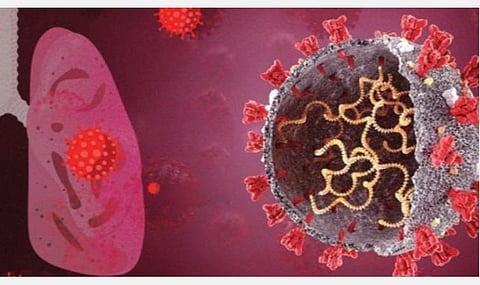 ஒமைக்ரானை மிதமாக எடுத்துக் கொள்ள வேண்டாம்: உலக சுகாதார அமைப்பு மீண்டும் எச்சரிக்கை