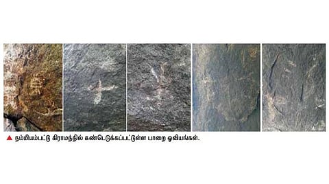 ஜவ்வாதுமலை அருகே பாறை ஓவியங்கள் கண்டெடுப்பு