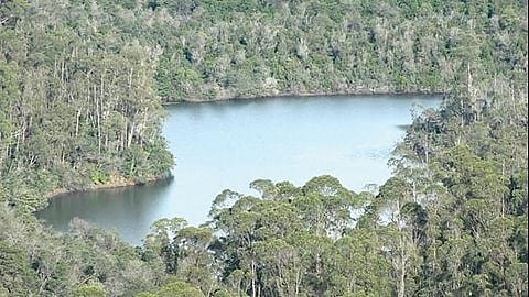 இயற்கை எழில் மிகுந்த பேரிஜம் ஏரியின் அழகிய தோற்றம் (கோப்பு படம்)