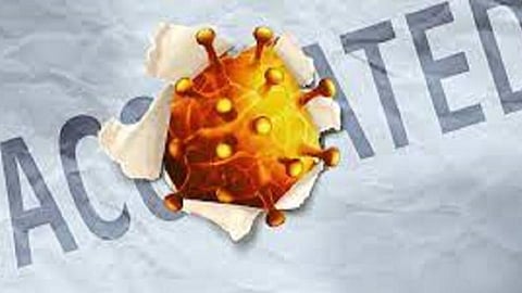 பிரேக்த்ரூ தொற்றால் உடலில் வலுவான ஆன்டிபாடி உருவாகிறது: ஆய்வில் தகவல்