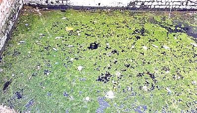 திருப்பத்தூர் 34-வது வார்டில் பொதுமக்களுக்கு விநியோகிக்கப்படும் குடிநீர் மாசடைந்துள்ளது.