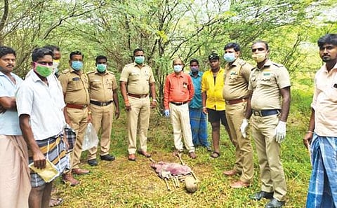 காணாமல் போனவரின் உடலை எலும்புக்கூடாக போலீஸார் மீட்டனர்.