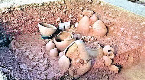 ஆதிச்சநல்லூர் அகழாய்வு பணியில் கிடைத்துள்ள முதுமக்கள் தாழிகள்.