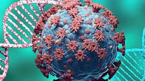 நியோகோவ் வைரஸால் அச்சுறுத்தல் இல்லை: மருத்துவ நிபுணர்கள் தகவல்