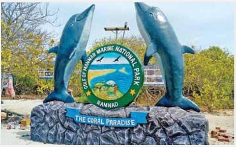 ராமேசுவரத்திலிருந்து மன்னார் வளைகுடா தீவுகளுக்கு படகு சவாரி: சூழல் சுற்றுலா தொடங்க வனத்துறை திட்டம்