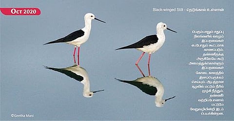 ஒளிப்படங்கள் ஏற்றும் புத்தொளி